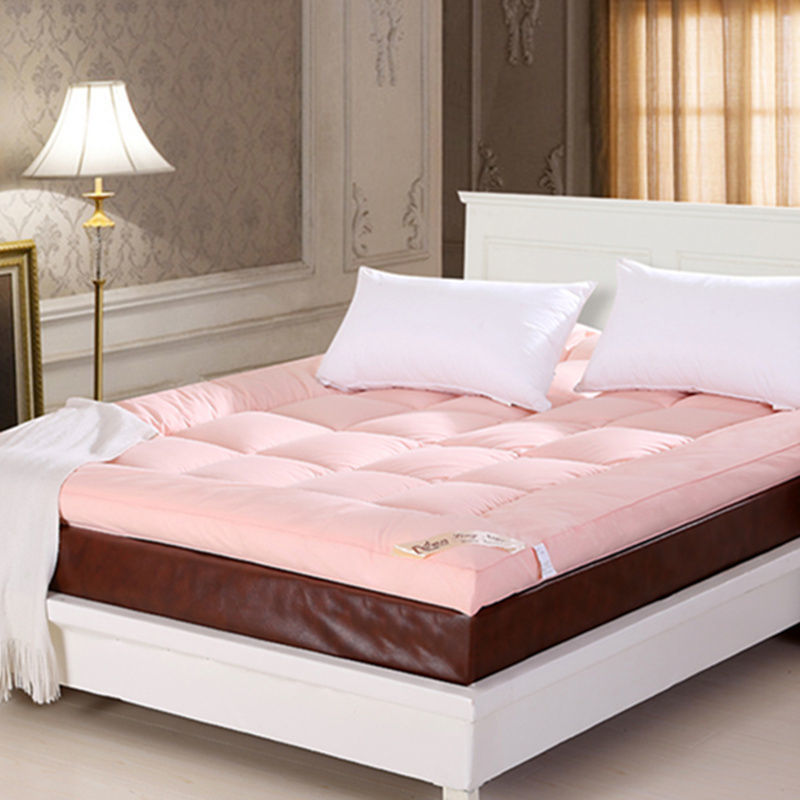 
                  
                    10cm Household Mattress Dormitory Soft Winter Warm
                  
                